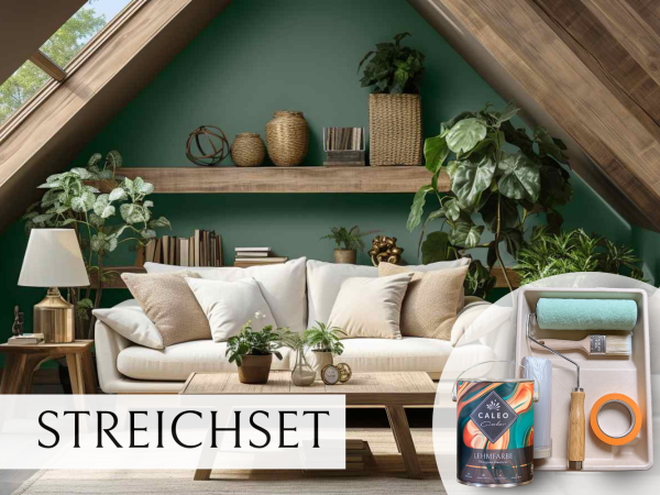 Streichset Akzentwand