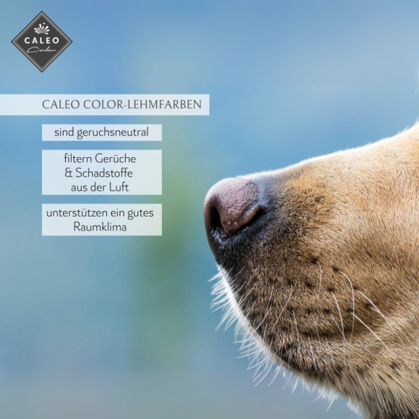 Caleo Color Lehmfarbe - Graureiher