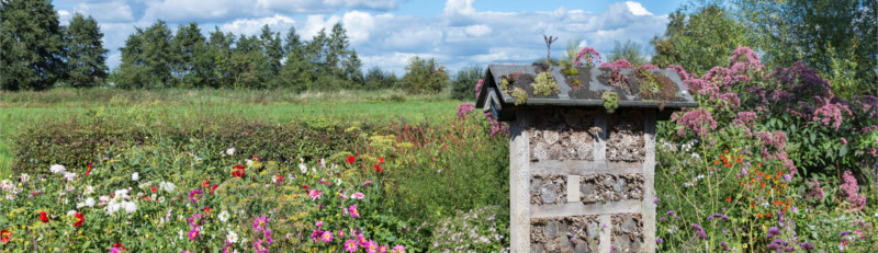 Der Bau einer Nisthilfe für Insekten trägt zum umweltbewussten Verhalten bei.