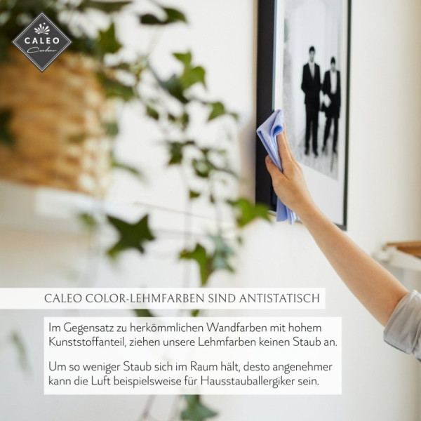 Caleo Color Lehmfarbe - Graureiher