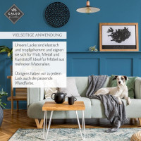 Vorschau: Caleo Color Lack Ebenholz Vorschau: Caleo Color Lack Ebenholz