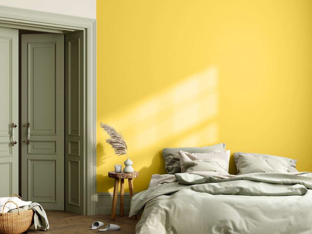 goldregen - ökologische lehmfarbe gelb | caleo color | caleo color