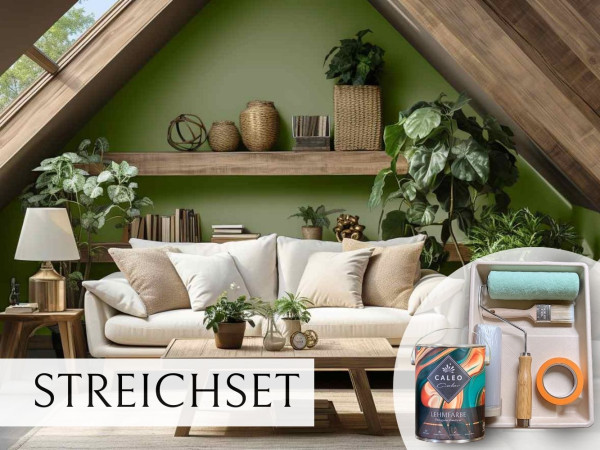 Streichset Akzentwand