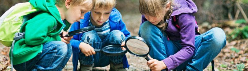 Kinder entdecken mit Lupen und anderen Forscherutensilien die Natur im Wald.