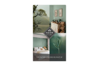 Caleo Color Echtfarbfächer Caleo Color Echtfarbfächer