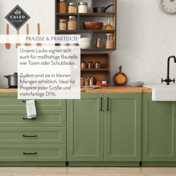 Caleo Color Lack Ebenholz