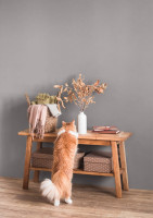 Vorschau: Caleo Color Lehmfarbe - Graureiher Vorschau: Caleo Color Lehmfarbe - Graureiher