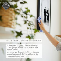 Vorschau: Caleo Color Lack Ebenholz Vorschau: Caleo Color Lack Ebenholz